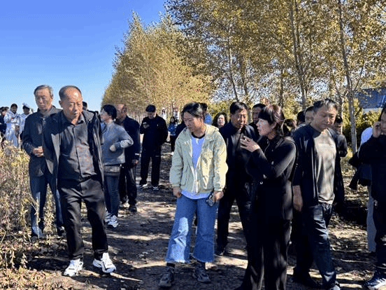 dfe4988b187ae7240781b89b67977bd